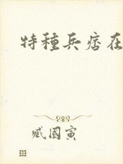 特种兵痞在都市