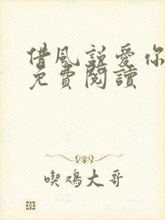 借风说爱你小说免费阅读