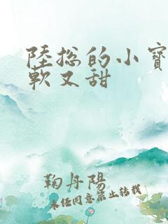 陆总的小宝贝又软又甜