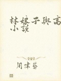林娘子与高衙内小说