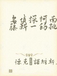 名侦探柯南给工藤新一的挑战书