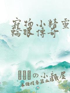 宠物小精灵之写轮眼传奇