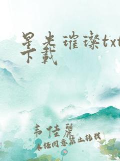 星光璀璨txt下载