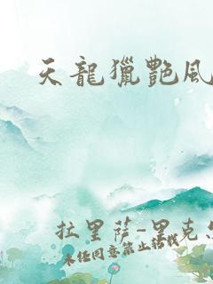天龙猎艳风流