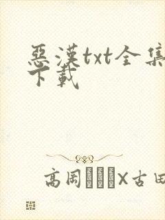 恶汉txt全集下载