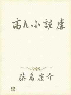 高h小说虐