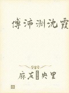 傅沛洲沈霞小说