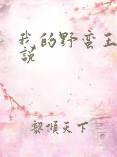 我的野蛮王妃小说