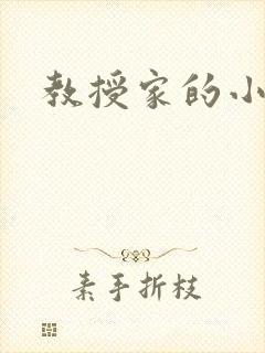 教授家的小可爱