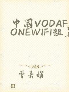 中国VODAFONEWIFI粗暴APP