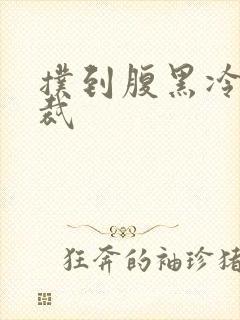 扑到腹黑冷面总裁