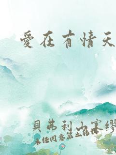 爱在有情天小说