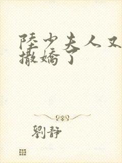 陆少夫人又双叒撒娇了