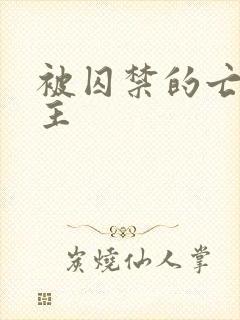 被囚禁的亡国公主