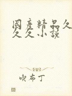 国产精品久久久久久小说