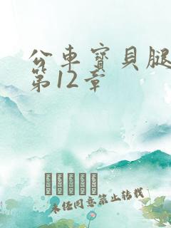 公车宝贝腿开点第12章