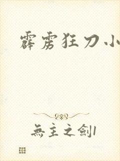 霹雳狂刀小说