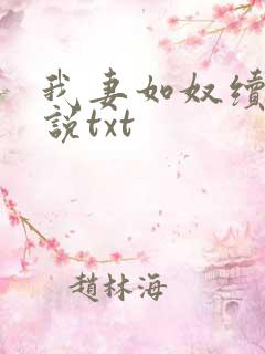 我妻如奴续写小说txt