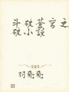 斗破苍穹之虚空破小说