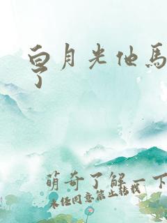 白月光他马甲掉了