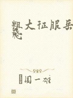 粗大征服岳女双飞