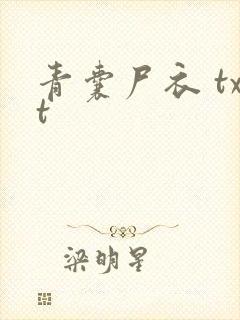 青囊尸衣 txt