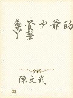 尊贵少爷的大牌丫鬟