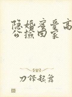 隐婚蜜爱高冷老公捡回家