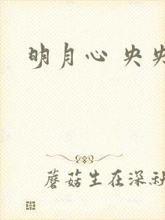 明月心 央央