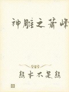 神雕之萧峰后人