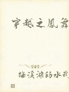 穿越之凤舞天下