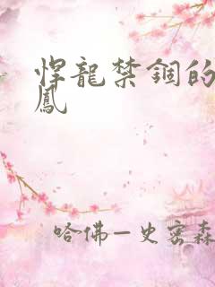 悍龙禁锢的小野凤