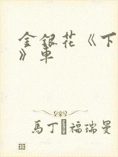 金银花《下厨房》车