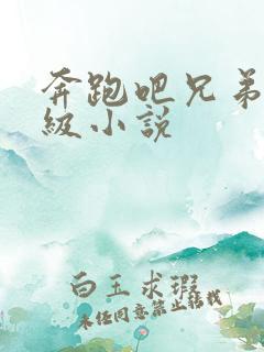 奔跑吧兄弟限制级小说