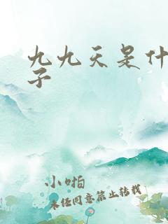 九九天是什么日子