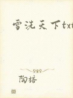 雪洗天下txt