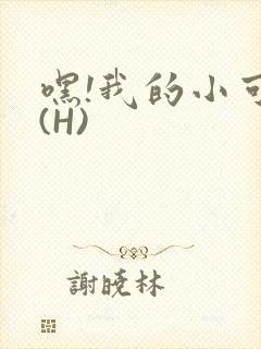 嘿!我的小可爱(H)
