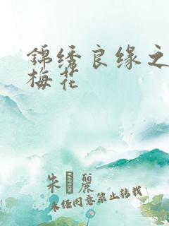 锦绣良缘之驿寄梅花