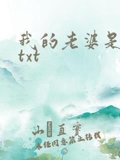 我的老婆是上司txt