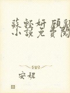 苏轻妍 顾辞笙小说免费阅读