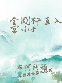 金刚杵直入莲花宫小f