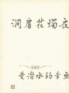 洞房花烛夜小说