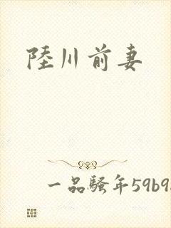 陆川前妻