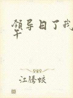 领导日了我一下午