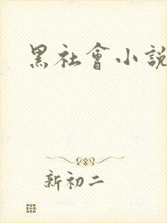 黑社会小说下载