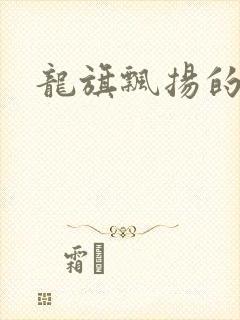 龙旗飘扬的舰队