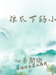 狼爪下的小雏菊