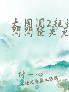 大团圆2亲情会闪闪发光免费