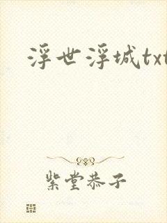 浮世浮城txt