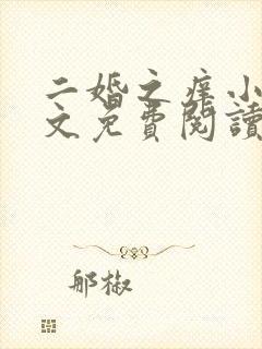 二婚之痒小说全文免费阅读